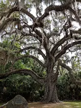 Ormond Beach Scenic Loop